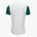 CAMISA PALMEIRAS RESERVA 25/26 - TORCEDOR